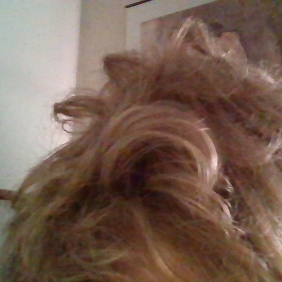 Paula Young Wig - Picture 7 of 8